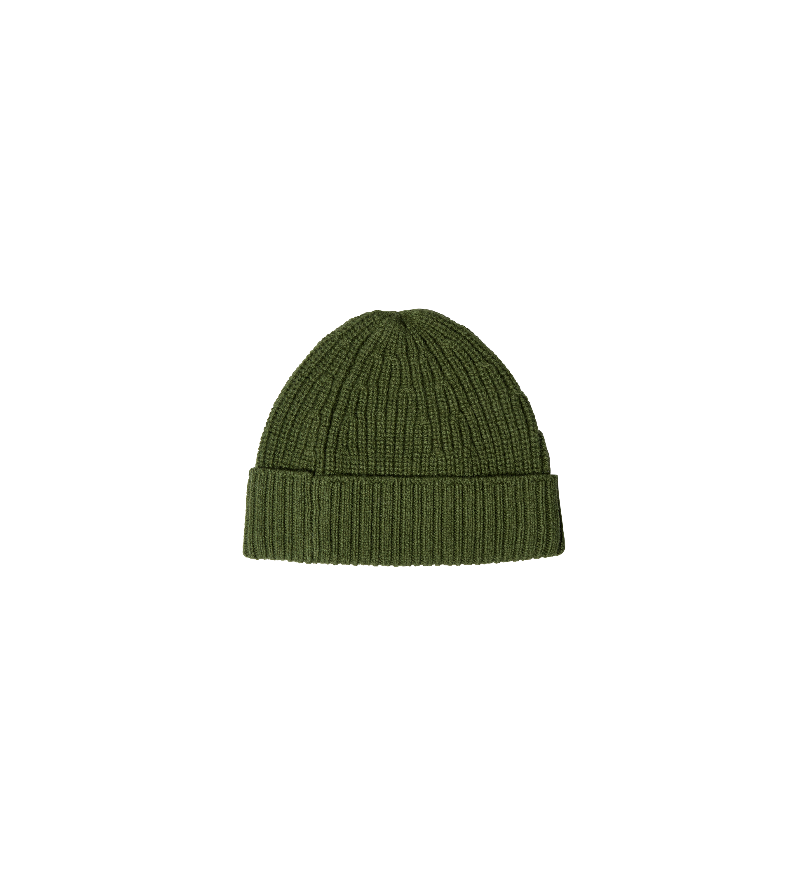 Packshot / Cactus / Back